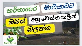 මුදල් හූරගෙන කන හරිතාගාර හොරුන්ගෙන් පරෙස්සම් වෙන්න.Polytunnel Scam Srilanka Ceylon Survival