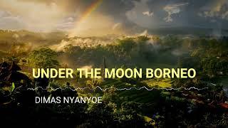 Under The Moon Borneo Instrument Sape No Copyright