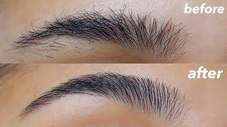 HOW TO GROOM + SHAPE YOUR EYEBROWS super easy + at home