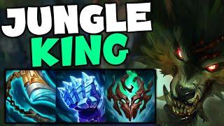 CONSISTENT WARWICK JUNGLE CARRY BUILD