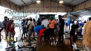 Negombo Fish marketPort BeachSri Lanka