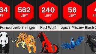 Most Endangered Species  Comparison