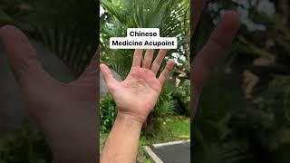 Chinese Medicine Palm Acupoint