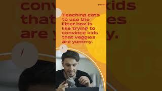 Top 5 Cat Dad Quotes - Unravel the Inspiring Wisdom Behind