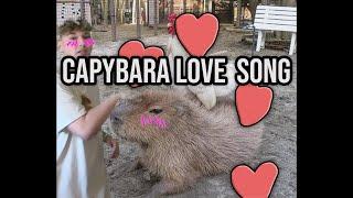 a Love Song to Capybara