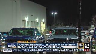 White Marsh car dealership employee on the run after stabbing