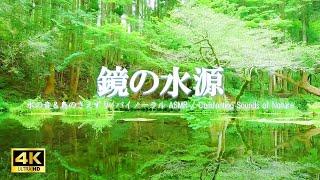 鏡の水源に広がる水の音と鳥のさえずり：リラクゼーションにお役立てください【Binaural ASMR4K】