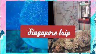 Nawa’s vlog #1 Short Trip to Singapore