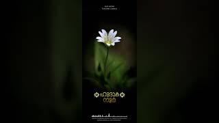 HUDHAKA NOOR ISLAMIC FULL SCREEN STATUS VEDIO SHAMEERALI&TEAMJAZA MEDIA