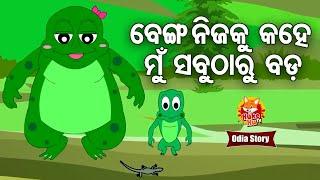 Benga Nijaku Kahe Mun Sabutharu Bada ବେଙ୍ଗ କହେ ମୁଁ ସବୁଠାରୁ ବଡ଼  Odia Moral Story  Huke Hu TV