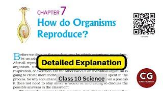 Class 10 Biology How Do Organisms Reproduce? Detailed One Shot Explanation