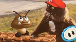 Super Mario Cat