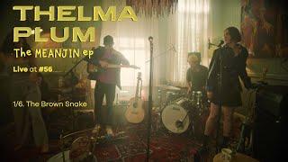 Thelma Plum - The Brown Snake Live at #56