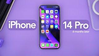 iPhone 14 Pro Review 6 Months Later Some Harsh Criticism