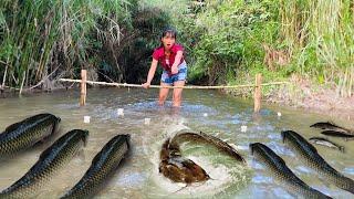 The girls simple fishing videos are 3 times more effective than normal fishing