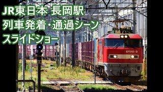 【115系N36編成や貨物列車も！】JR東日本 長岡駅 列車発着・通過シーン スライドショー