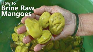 How To Brine Raw Mangoes  Pressed Raw Mangoes  Pickled Raw Mangoes