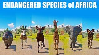 Endangered Species of Africa Speed Race in Planet Zoo included Okapi Elephant Giraffe Dog Hippo