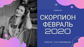 СКОРПИОН. Гороскоп на ФЕВРАЛЬ 2020  Алла ВИШНЕВЕЦКАЯ