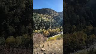 #Autumn #nature in the Caucasus Mountains