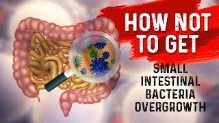 How to STOP Small Intestine Bacterial OvergrowthSIBO? – Dr. Berg