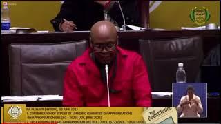 EFF MP Fighter @MzwaneleManyi in the National Assembly. Thursday 08 June 2023.