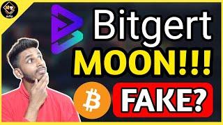 Bitgert BRISE Big Updates To The Moon Bitcoin Fake Pump? Next 48HRS Huge  Mac Tech Tamil