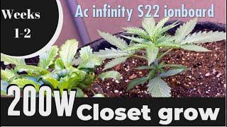 AC Infinity s22 light grow Skywalker OG Weeks 1-2 #ilovegrowingmarijuana #ilgm_official