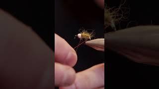 Fly Tying Tutorial  Tying a Caddis Bomb Nymph