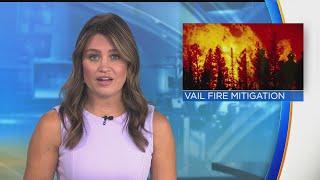 Colorado wildland firefighters are focusing on fire mitigation in Vail