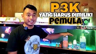 TIPS MEMELIHARA IKAN MAS KOKI - BEBERAPA PERAWATAN YANG HARUS DIMILIKI PARA PEMULA 