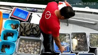 Saikung Pier - Fresh Sea Foods