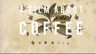 【A Film About Coffee】ア・フィルム・アバウト・コーヒーティザー予告
