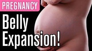 Belly Expansion FAQs  Pregnancy