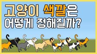  7가지 고양이 털 색깔 유전원리  고양이 색깔은 어떻게 정해질까? 삽소리 동물 잡지식