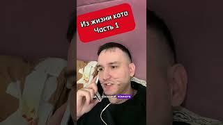 У вас есть домашние питомцы?