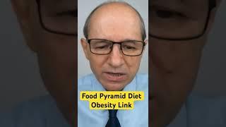 Food Pyramid Diet Obesity Link