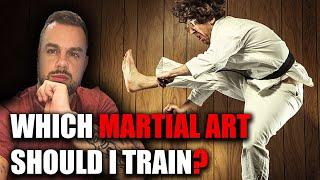 My most asked question - Which martial art should I train?