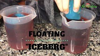 Floating Iceberg  TheSciBuddies #floatingiceberg #densityexperiment