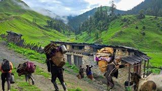 Very Beautiful Nepali Himalayan Village Life । Living Close Nature । Organic Village Life  Rain Time