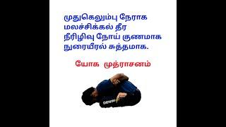 How to learn yoga mudrasana for beginners in tamil  யோக முத்ராசனம் செய்வது எப்படி ?