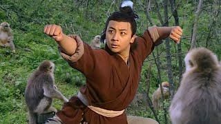 Kung Fu Movie Monkeys recognize Kung Fu boy as their lord and help him master peerless skills