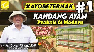 #AyoBeternak - Kandang Ayam Praktis & Modern #1 Kandang kecil Muat Ribuan EKORRR  Kok BISA????