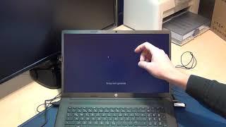 2021 HP Hewlett Packard Windows 10 Installation Tiger Lake How to Tutorial downgrade  clean install