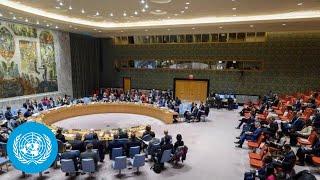 Ukraine Maintenance of Peace and Security - Security Council  United Nations LIVE