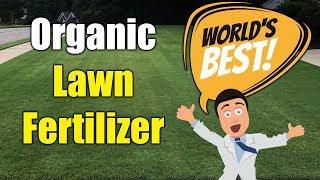 Best Organic Lawn Fertilizer