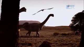 When Dinosaurs Roamed America - Camarasaurus