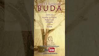 Buda - Sutra 52 Del Audiolibro Los 53 Sutras de Buda #audiolibro #buda #budismo #espiritualidad