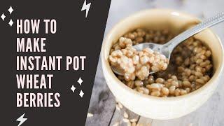 Instant Pot Wheat Berries