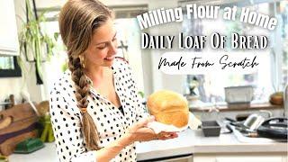 Baking Bread with Fresh Milled Flour  Homemade Daily Loaf of Bread